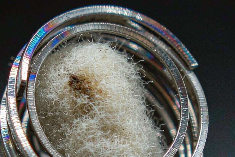 Bulk Distribution for Aeku products — Middle East