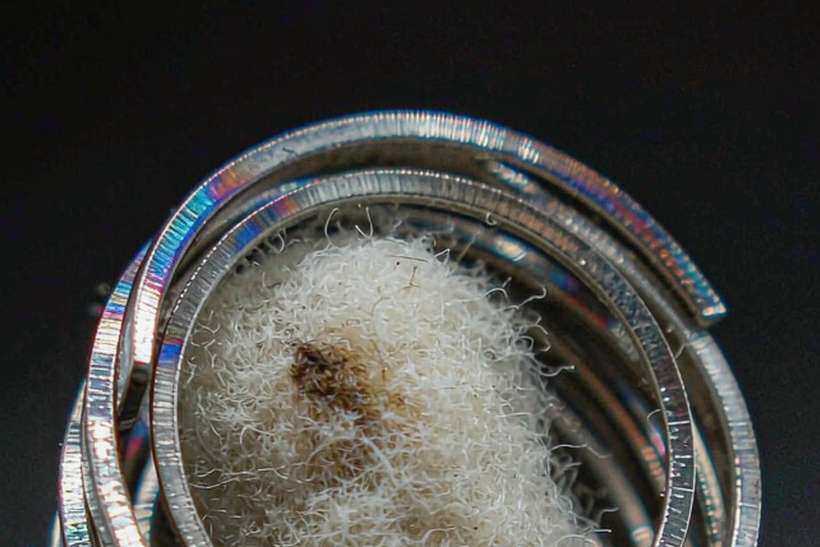 Comparison of Aeku coils Suppliers — limited batch