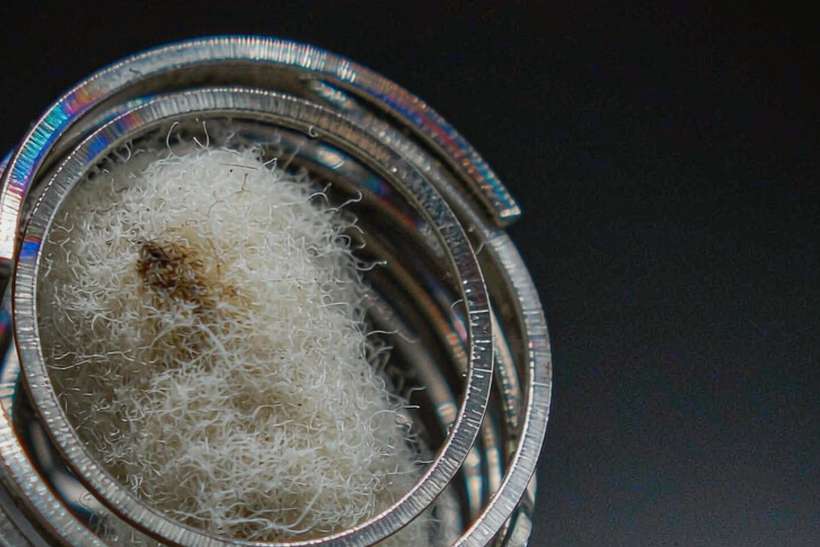 Glossary of Aeku pods — express air