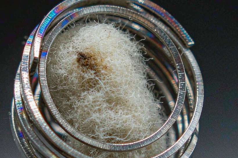 Launch Plan for Aeku pods — small parcel